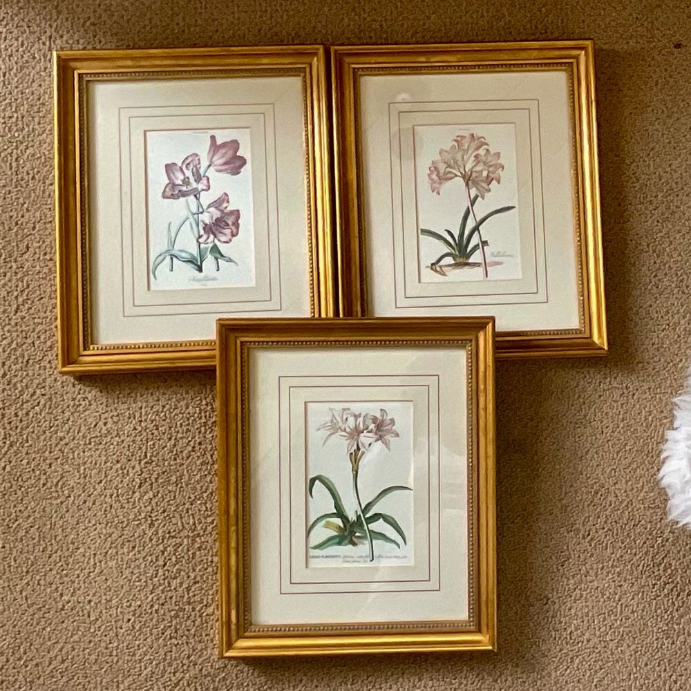 Vintage professionally framed & matted Floral  Botanical prints. Set of 3